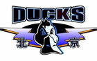 京隊季后賽命中率超五成，三分效率高，搶前場籃板20+。