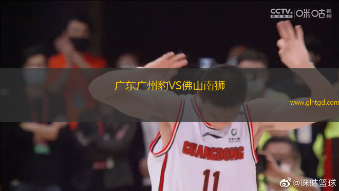 廣東廣州豹VS佛山南獅