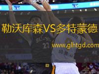 勒沃庫森VS多特蒙德
