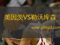 美因茨VS勒沃庫森